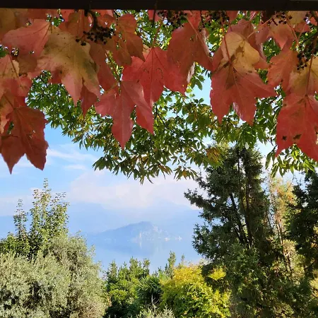 Mid Of Nature ~ Bella Vista Sul Lago Maggiore Ghiffa Exterior photo