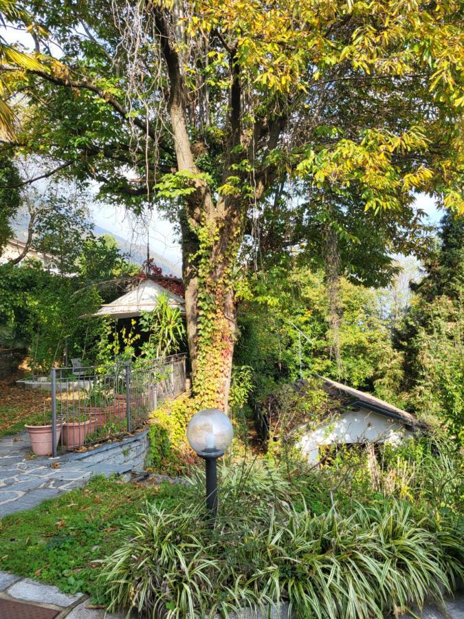 Mid Of Nature ~ Bella Vista Sul Maggiore Holiday home *