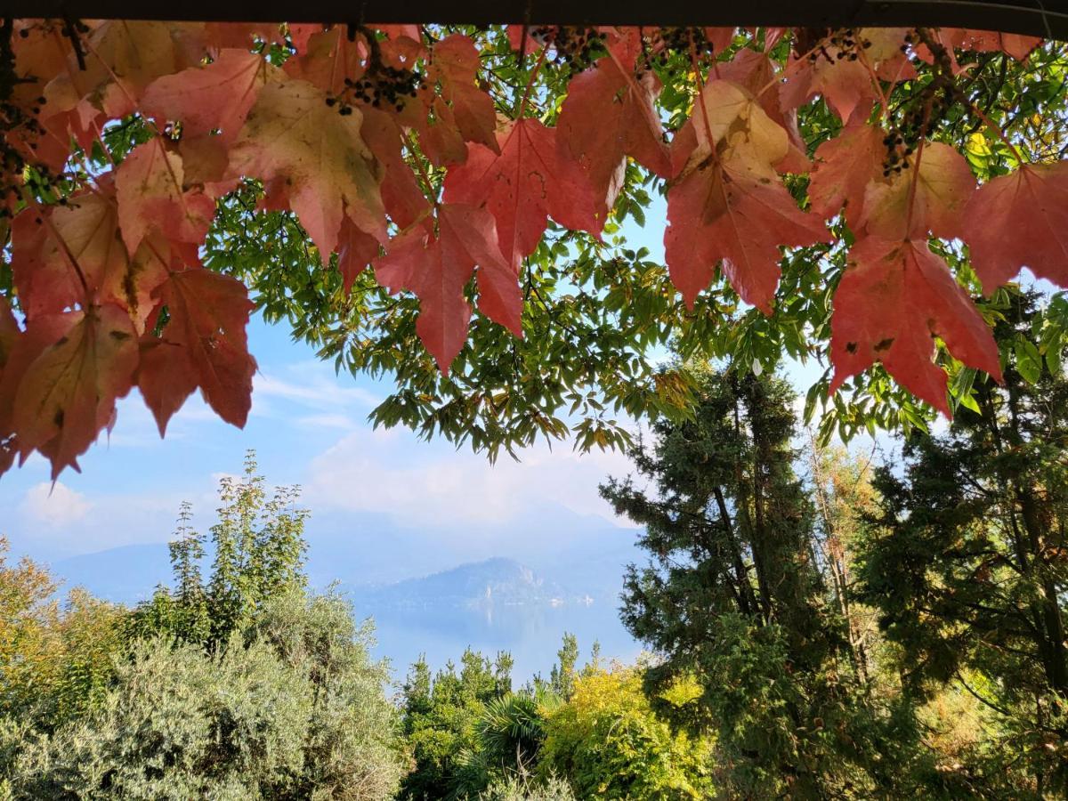 Holiday home Mid Of Nature ~ Bella Vista Sul Maggiore *