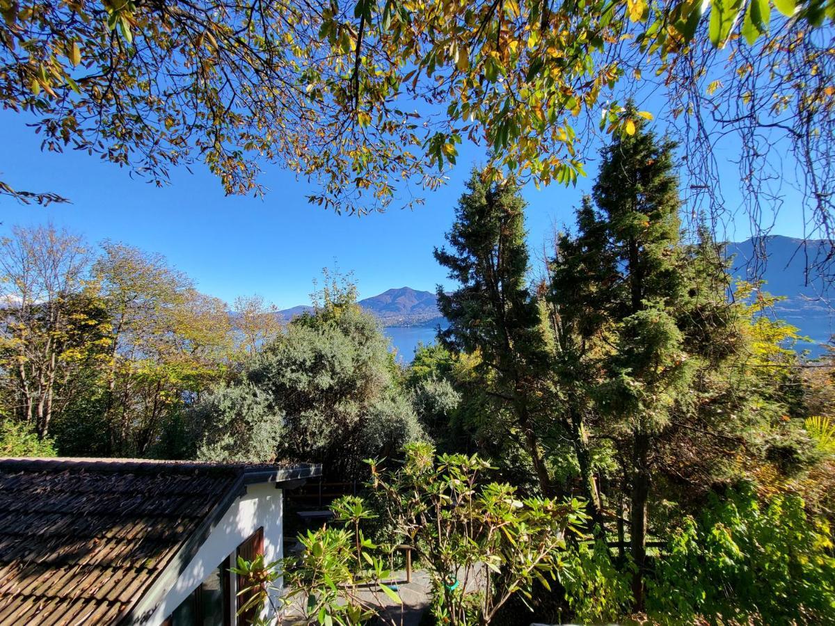 Mid Of Nature ~ Bella Vista Sul Maggiore Holiday home