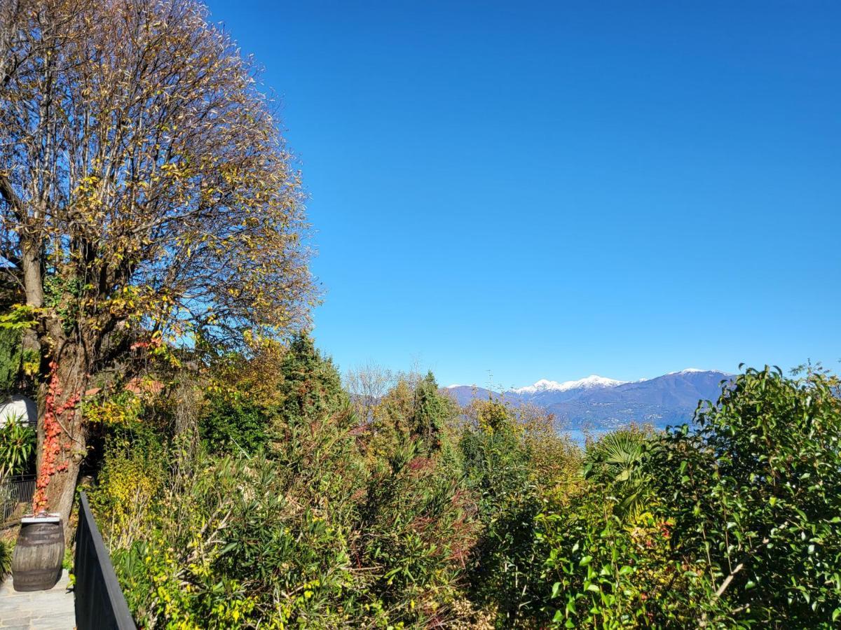 Mid Of Nature ~ Bella Vista Sul Maggiore Ghiffa