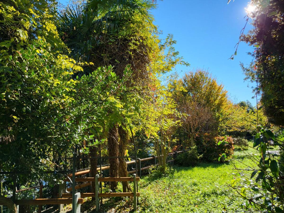 Holiday home Mid Of Nature ~ Bella Vista Sul Maggiore *