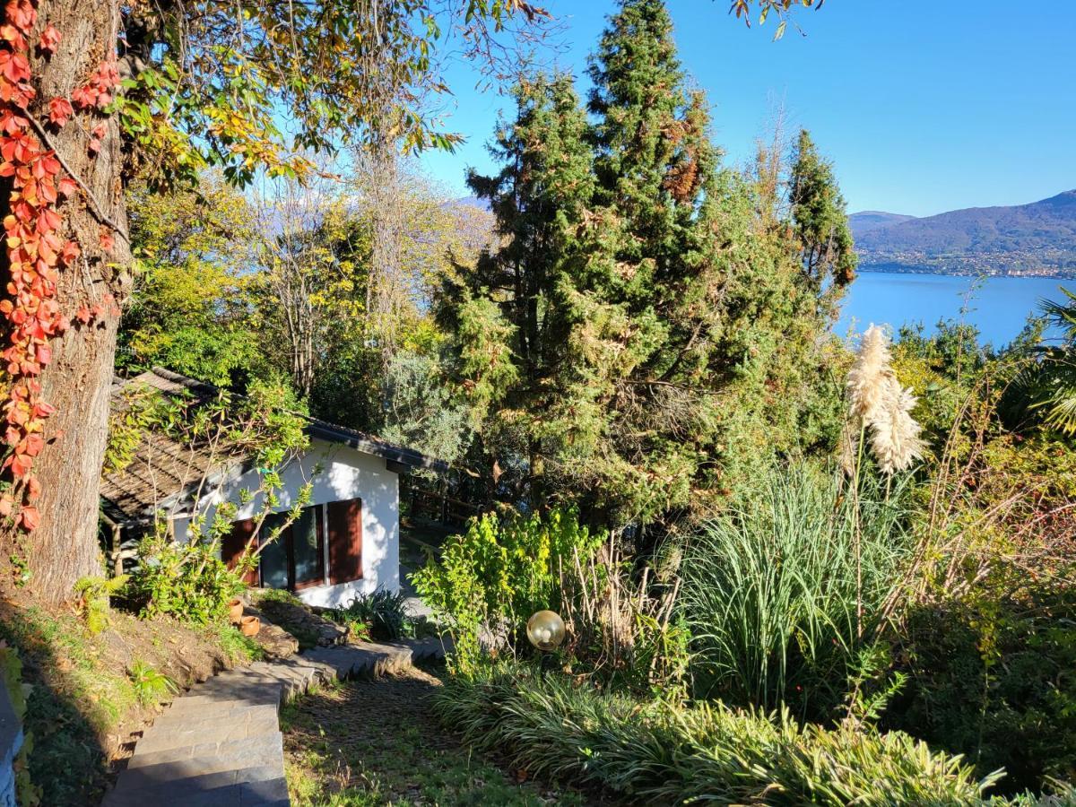 Mid Of Nature ~ Bella Vista Sul Maggiore