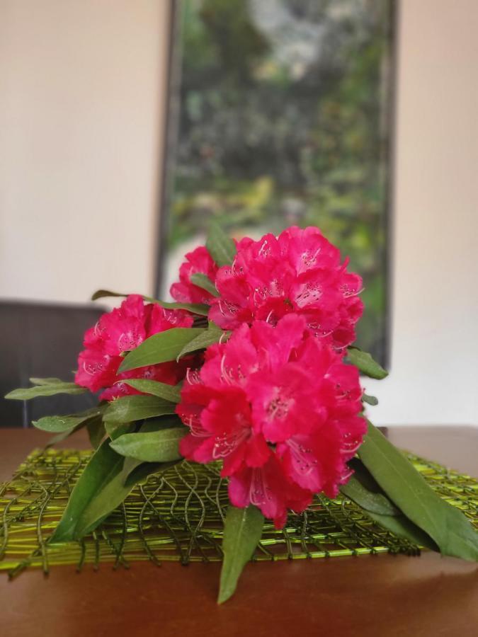 Holiday home Mid Of Nature ~ Bella Vista Sul Maggiore *
