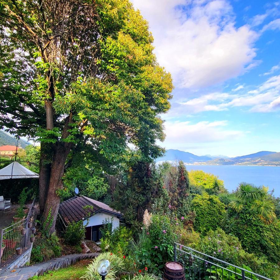 Mid Of Nature ~ Bella Vista Sul Maggiore