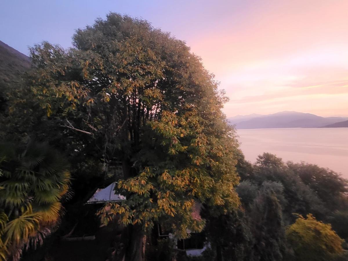 Mid Of Nature ~ Bella Vista Sul Maggiore *